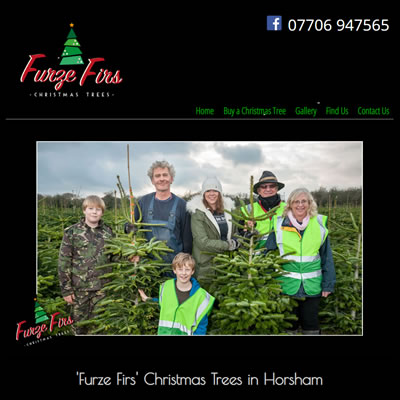 Screenshot of Furze Firs website.